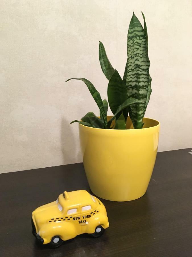 Sunflower Apartment Near Kiev Airport & Railway Station & Center City! מראה חיצוני תמונה